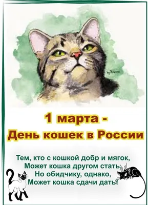 День кошек в России. - Кинешемская городская центральная библиотека имени  В.А. Пазухина