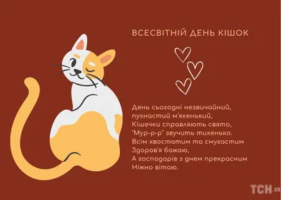 Всемирный день кошки 2022: картинки на украинском, поздравления в прозе и  стихах — Украина