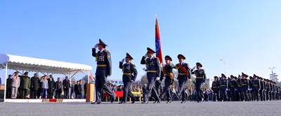 День милиции картинки (39 лучших фото)