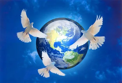 21 сентября. Международный день Мира - Ошколе.РУ