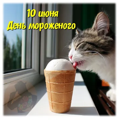 День мороженого