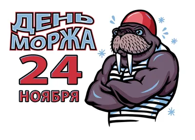 День моржа | Библиотеки Архангельска