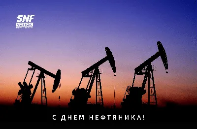 День работников нефтяной и газовой промышленности