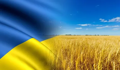 Україна відзначає День Незалежності - Главком