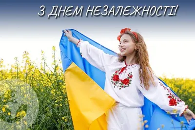 День Незалежності України! — Дніпровський інститут МАУП