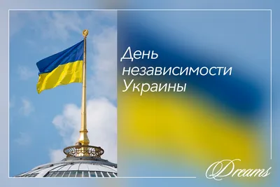 Украина отмечает День Независимости наперекор российской агрессии - Русская  редакция - 