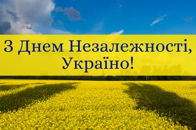 Плакат на День Независимости Украины А2 (ID#45398387), цена:  ₴,  купить на 