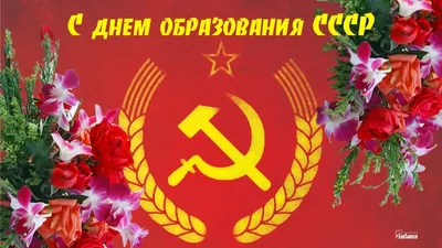 С днем образования СССР! Советские открытки и душевные стихи для всех, кто  жил в стране Советов 30 декабря | Курьер.Среда | Дзен