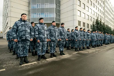 Сегодня  года, вторник – отмечается 14 праздников: - Лента  новостей Запорожья