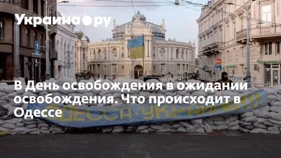 Нардепы Скорик и Королевская поздравили ветеранов с Днем освобождения Одессы  (фото)