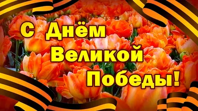 Поздравление c праздником 9 мая - Днем Победы и. о. ректора Перовой Е.Ю.  ФГБОУ ВО "Восточно-Сибирский государственный институт культуры"