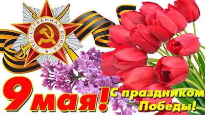 Поздравление с 9 мая!