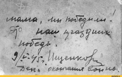 день победы / смешные картинки и другие приколы: комиксы, гиф анимация,  видео, лучший интеллектуальный юмор.