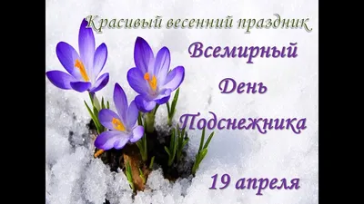 18 мая - День подснежника в Якутии - 