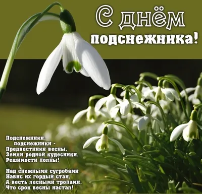 🍃🌞🌿 19 апреля день подснежника! | Открытки, Праздник, Картинки