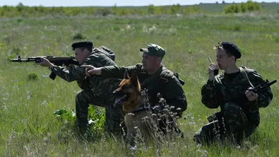 День пограничника в России | Фото | Общество | Аргументы и Факты