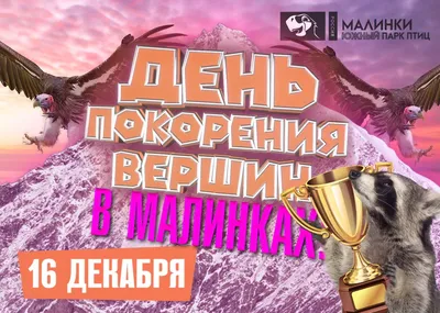  года, суббота: День покорения вершин, День риэлтора в  России, Иван Молчальник / Ежедневник / Журнал 