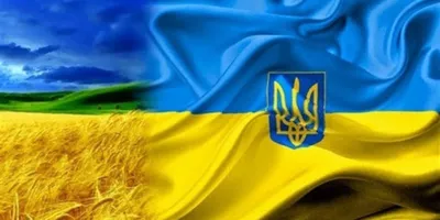 День Государственного флага Украины 2023: поздравление Зеленского и  Залужного