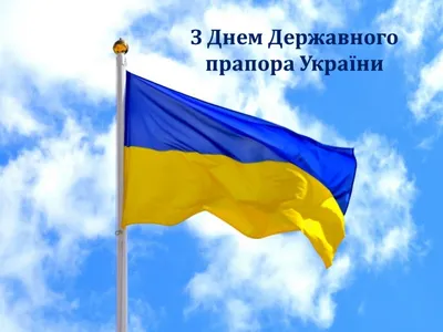 Символ боротьби, перемоги і любові до Батьківщини: до Дня Державного Прапора  України