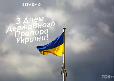 День Прапора України - день, який має особливе значення у часи війни, коли  наш прапор стає знаком єдності, мужності і надії — Вінницька районна  державна адміністрація