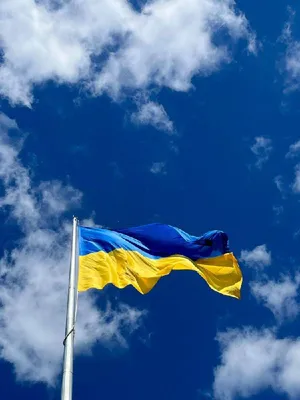 Сьогодні Україна відзначає День Державного Прапора! | Ukraine,  Congratulations, Birthday