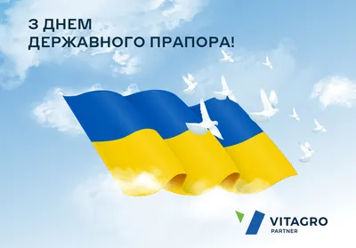 Щорічно, 23 серпня, українці відзначають День прапора – Правозахисна спілка  осіб з інвалідністю