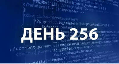 С Днем программиста 2022: поздравления в прозе и стихах, картинки на  украинском — Украина