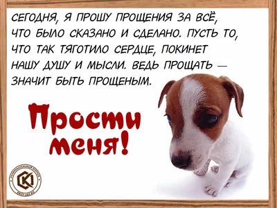 Сегодня я прошу прощения за все, что было сказано и сделано… — Бесплатные  открытки и анимация