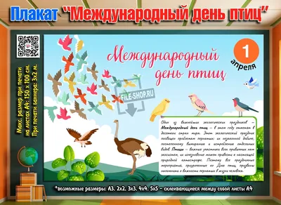 Международный день птиц: 10 удивительных фактов о пернатых 🕊 | Детский мир  | Дзен