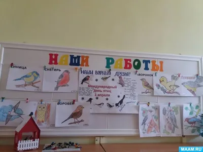 МЕЖДУНАРОДНЫЙ ДЕНЬ ПТИЦ – НА ВАДКОВСКОМ