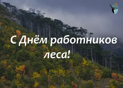 Поздравление с Днем работников леса — Государственное предприятие  "Беларусьторг"