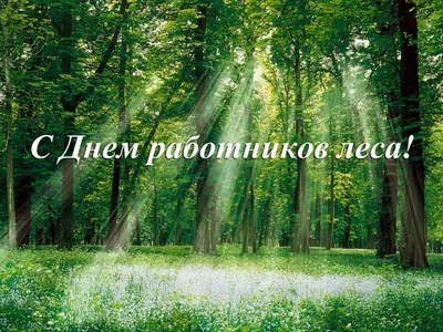 ПОЗДРАВЛЯЕМ С ДНЁМ РАБОТНИКОВ ЛЕСА! / Министерство природных ресурсов, лесного  хозяйства и экологии Новгородской области