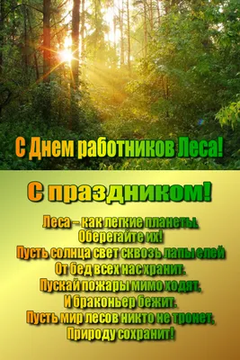 День работников леса 2021 - ОАО «Речицадрев»