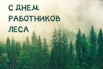  — День работников леса / Открытка дня / Журнал 