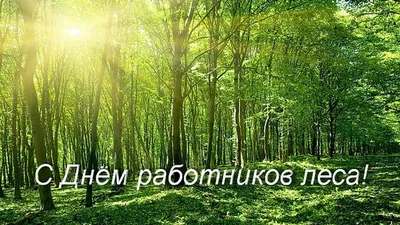 Поздравление с Днём работников леса!