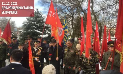 День рождения Сталина на Кубани сочинские пикетчики отметили дракой -  