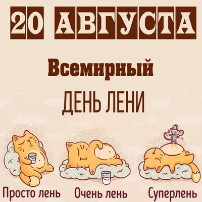 Как дружу я с ленью» 2023, Алексеевский район — дата и место проведения,  программа мероприятия.