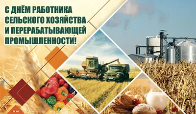 День работников сельского хозяйства Украины 2022: когда праздновать,  поздравления в стихах и прозе, история праздника — Украина