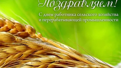 8 октября – День работника сельского хозяйства и перерабатывающей  промышленности