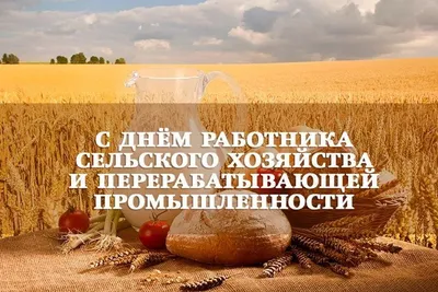 Поздравление с Днём работника сельского хозяйства и перерабатывающей  промышленности! |  | Ломоносов - БезФормата