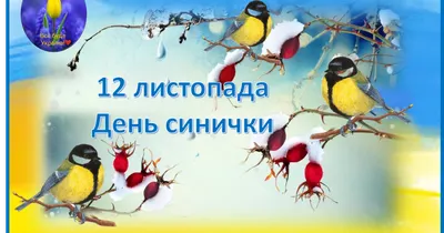 Синичкин день — Муниципальное бюджетное дошкольное образовательное  учреждение детский сад "Березка"