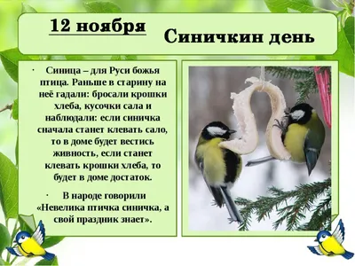 Синичкин день прошел в детских садах Василеостровского района