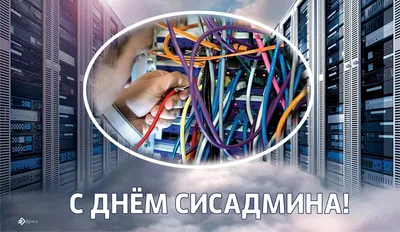 Крутые открытки в День системного администратора и классные поздравления 28  июля | Весь Искитим | Дзен