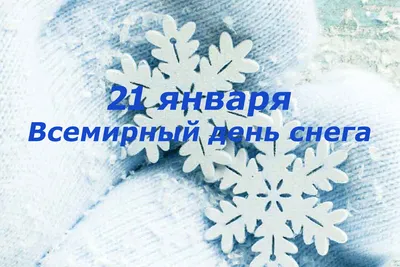 Во всемирный день снега на Воробьевых горах акция - 5 подъемов бесплатно |  Экологический турист | Дзен