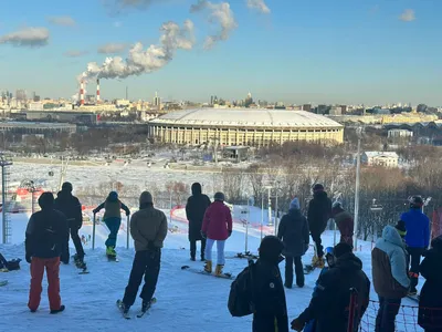 День снега» 2024