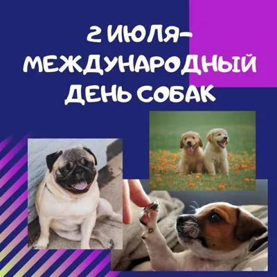 А вы знаете, что сегодня - всемирный День собаки?:)))) Давайте проведем  собачий флешмоб?:)))