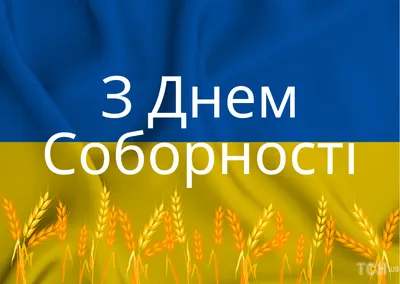 С Днем Соборности Украины - поздравления, картинки и открытки | 