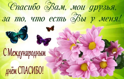 Международный день "Спасибо!" | гимназия №18 имени Героя Советского Союза  Анатолия Березового