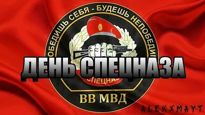 С Днем спецназа ВВ МВД России! Отважные и героические поздравления  настоящим защитникам россиян в праздник 29 августа