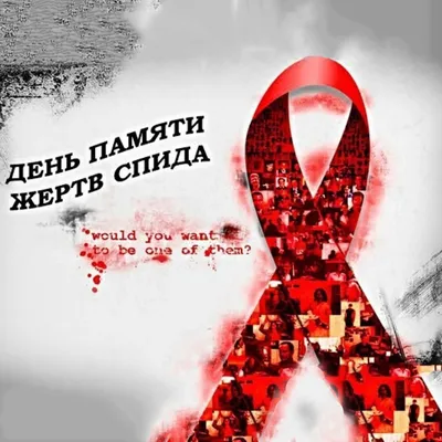 Первого декабря – Всемирный День борьбы со СПИД и ВИЧ – ИА Камчатка